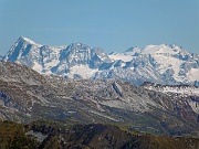 73 Adamello